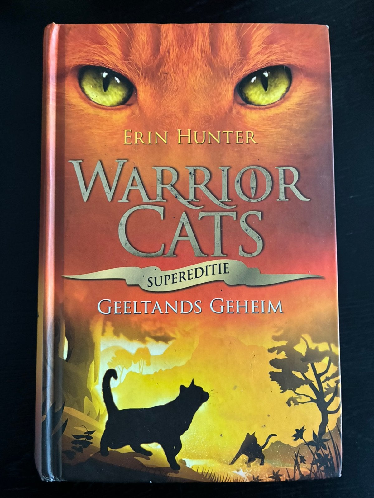 Warrior Cats, Ophalen of Verzenden, Gelezen, Erin Hunter