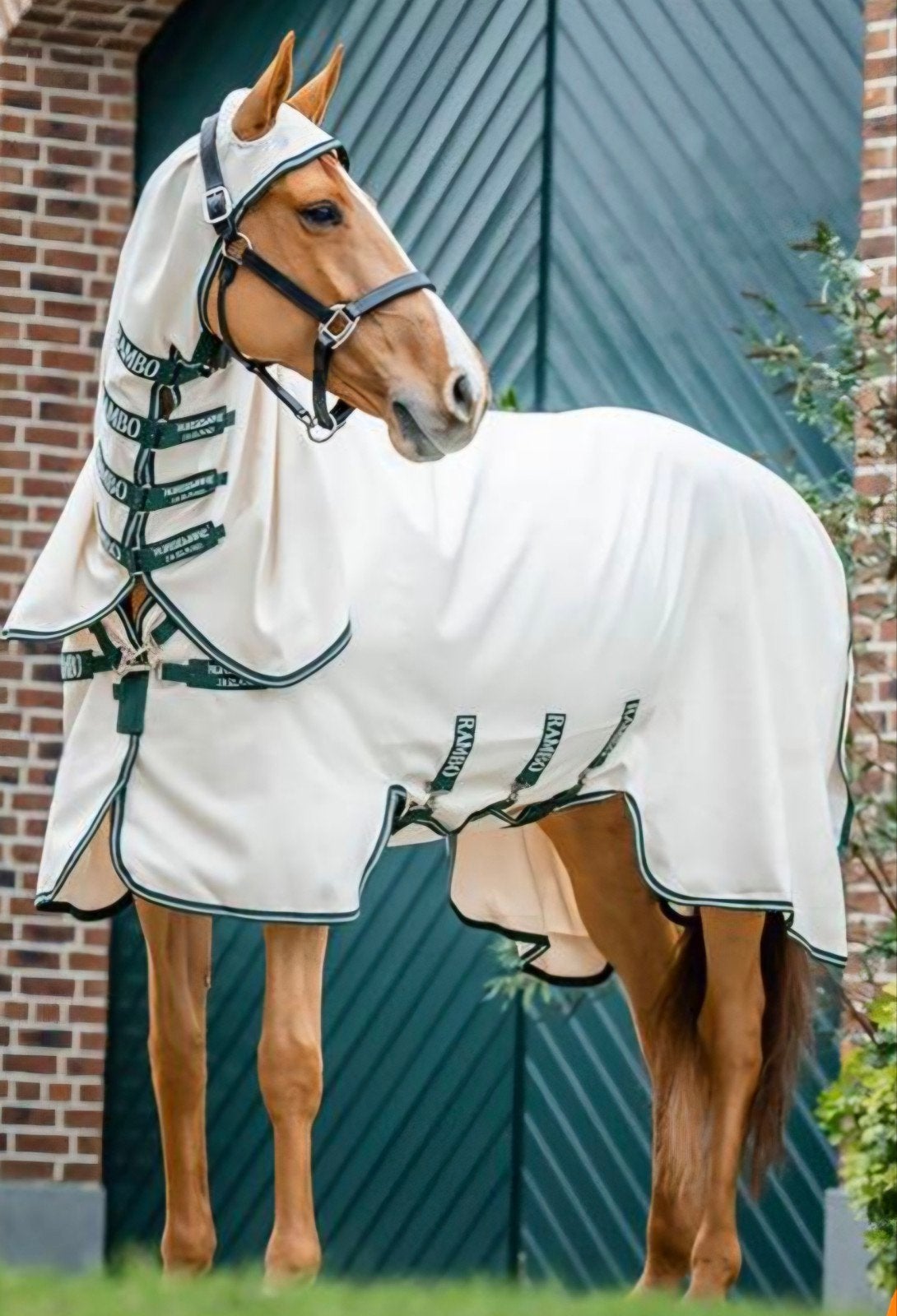 Horseware Ireland vliegen/eczeem deken voor paard, Ophalen of Verzenden