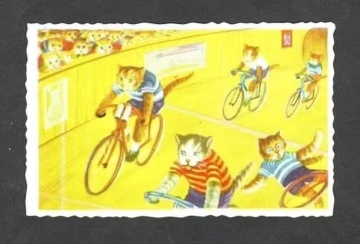 Poezenkaart Wielrennen Wedstrijd Rob de Kater., Verzamelen, Ophalen of Verzenden, 1960 tot 1980, Gelopen, Hond of Kat