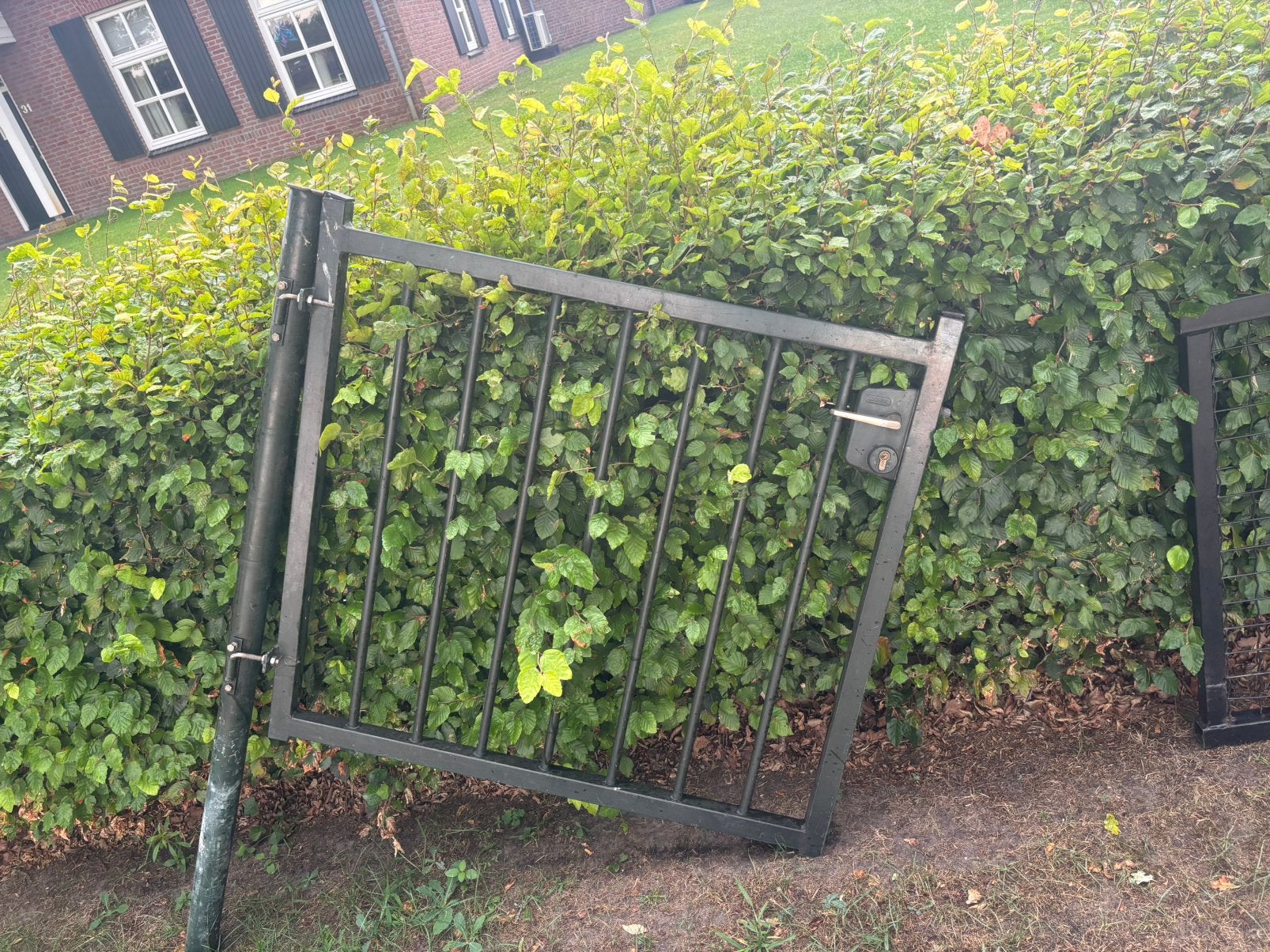 Poort groen, Ophalen, Gebruikt, IJzer, Tuinhek