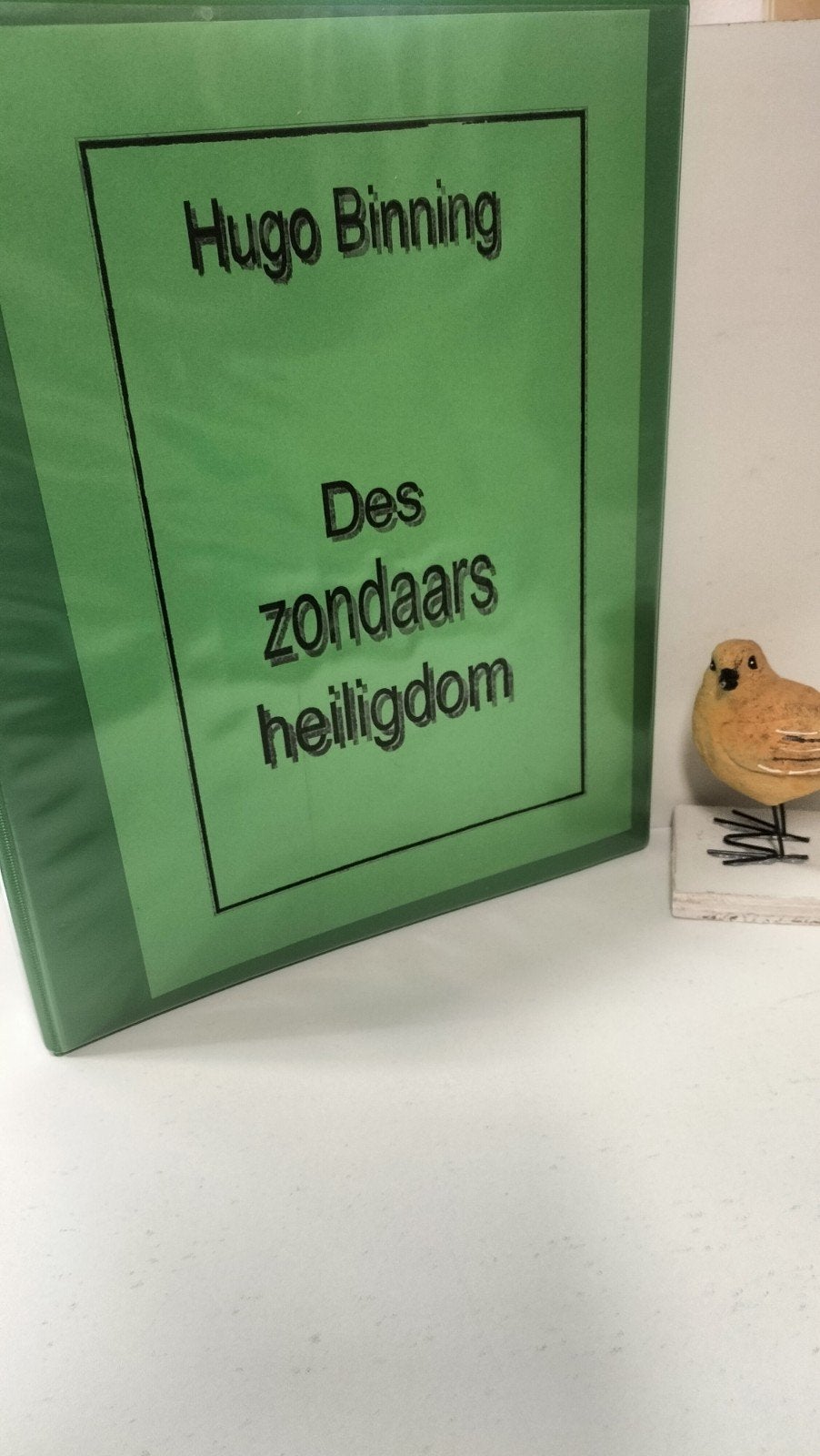 Binning, Hugo:  Des zondaars heiligdom Multimap, Ophalen of Verzenden, Gelezen, Christendom | Protestants