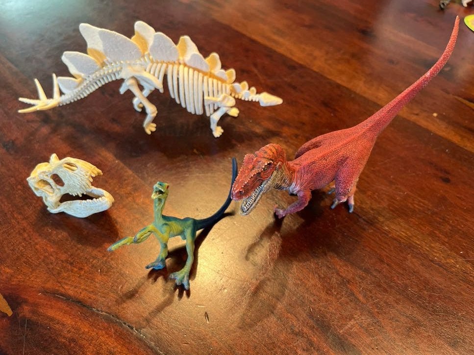 Schleich dinosaurussen, Ophalen, Gebruikt, Jongen of Meisje
