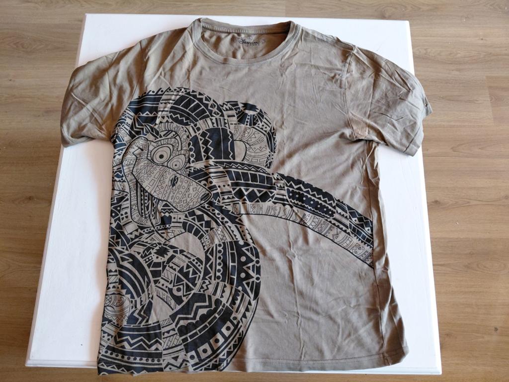 Disneyland Paris t-shirt Kaa de slang. Jungle Boek., Maat 52/54 (L), Ophalen of Verzenden, Zo goed als nieuw, Groen