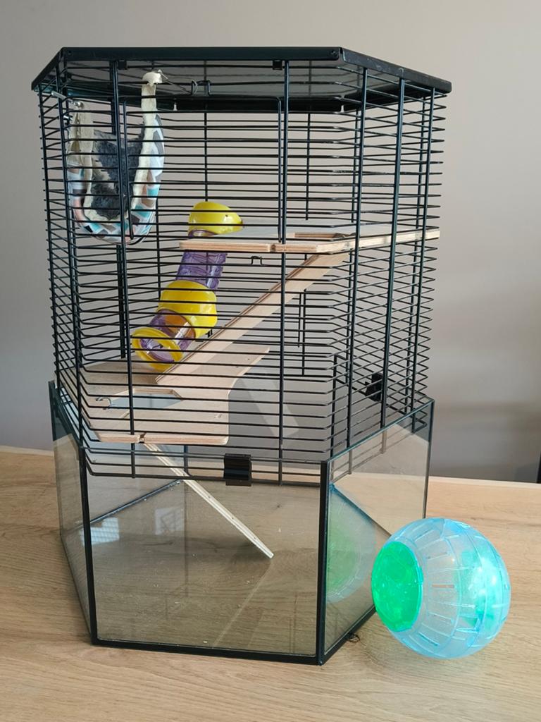 Glazen Hamsterkooi zeshoek, Ophalen