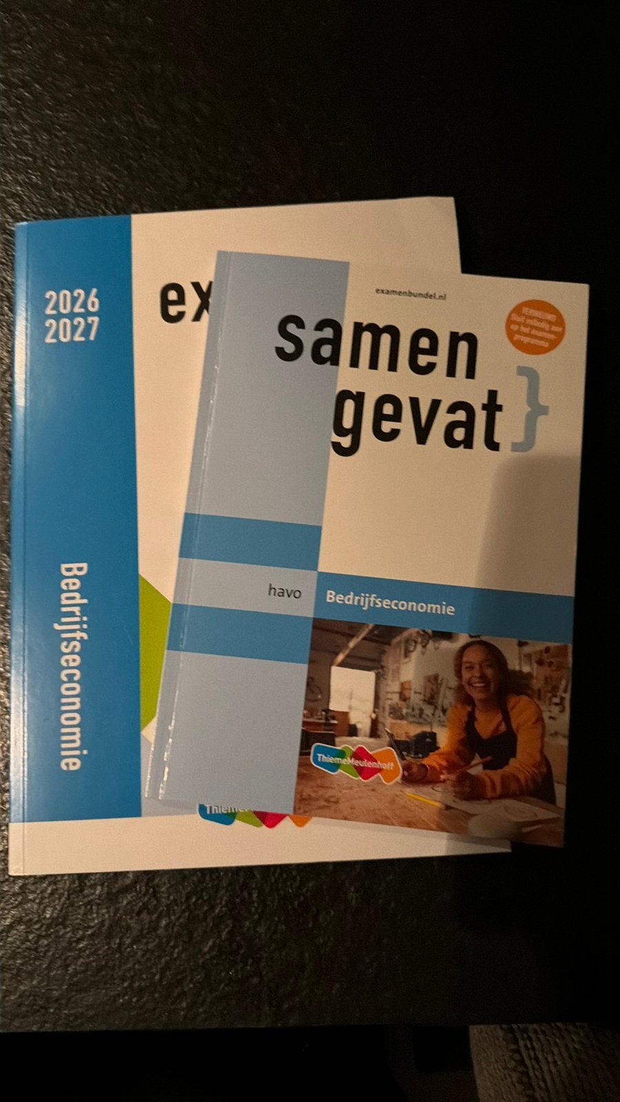 Ecamenbundel en samenvatting, Ophalen of Verzenden, Nieuw, HAVO, Overige vakken