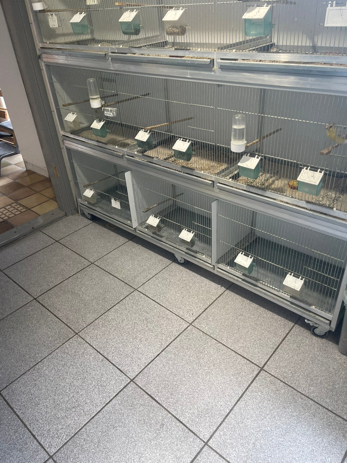 Aluminium kweek kooien, Ophalen of Verzenden, Zo goed als nieuw, Aluminium, Broedkooi of Kweekkooi
