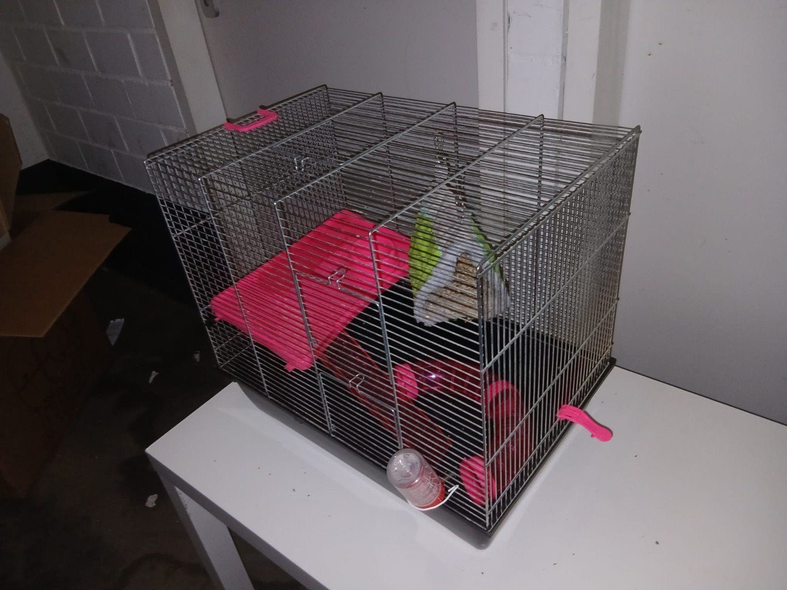 Hamsterkooi, Ophalen