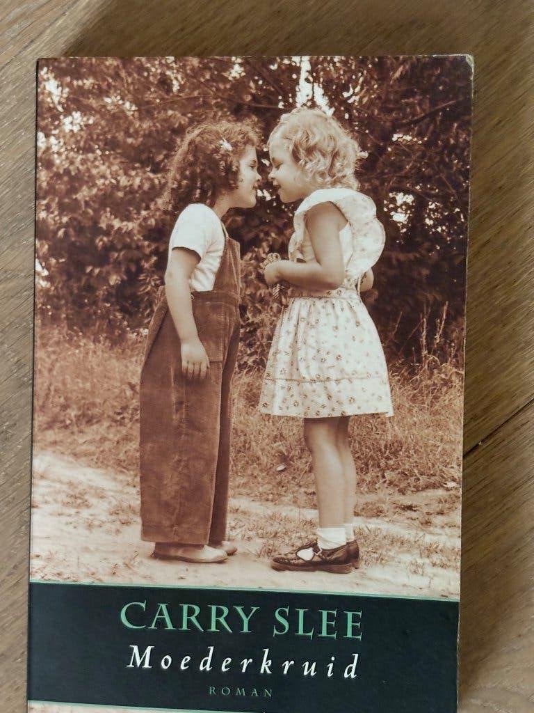 boek.  carry slee, Ophalen of Verzenden, Gelezen
