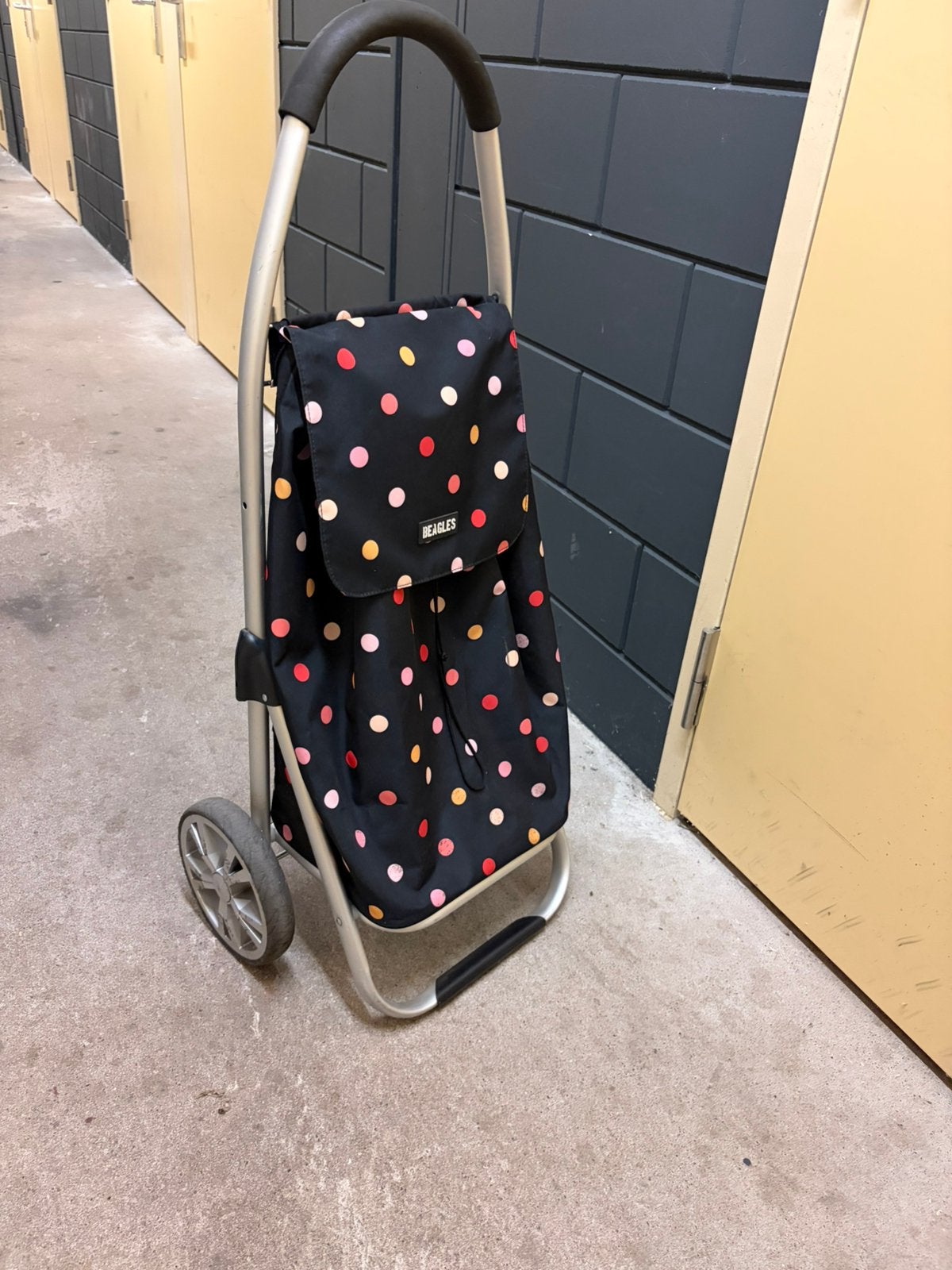 Beagles boodschappen trolley, lichtgewicht en sterk, Ophalen, Zo goed als nieuw, Zwart, 30 cm of meer