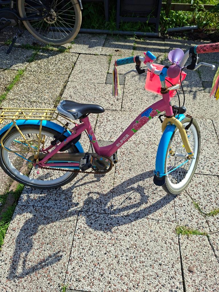 Meisjesfiets 20 inch, Ophalen of Verzenden, Gebruikt, 20 inch