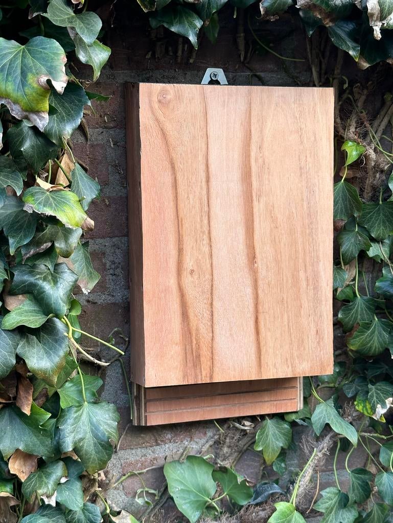 Vleermuizenkast, verschillende, Tuin en Terras, Ophalen of Verzenden, Nieuw