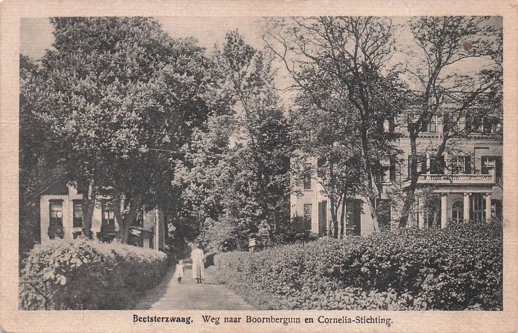 703-110-035 Beetsterzwaag Weg naar Boornbergum en Cornelia-, Verzamelen, Ansichtkaarten | Nederland, Verzenden, Voor 1920, Friesland