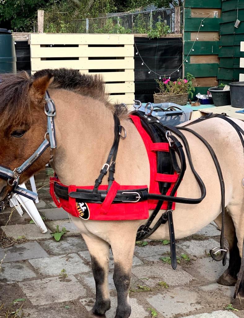 Mini Shetlander Tuig te koop, Ophalen, Gebruikt, Overige soorten