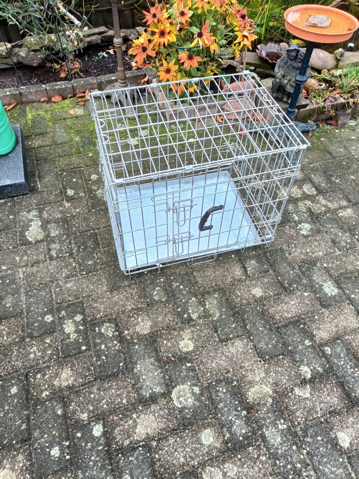 honden bench, Ophalen, Zo goed als nieuw