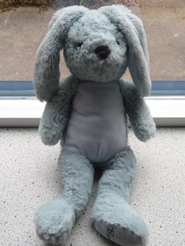 Konijn merk Evora FUNNY BUNNY Kruidvat lichtgroen, Groen, Konijn, Ophalen of Verzenden, Zo goed als nieuw