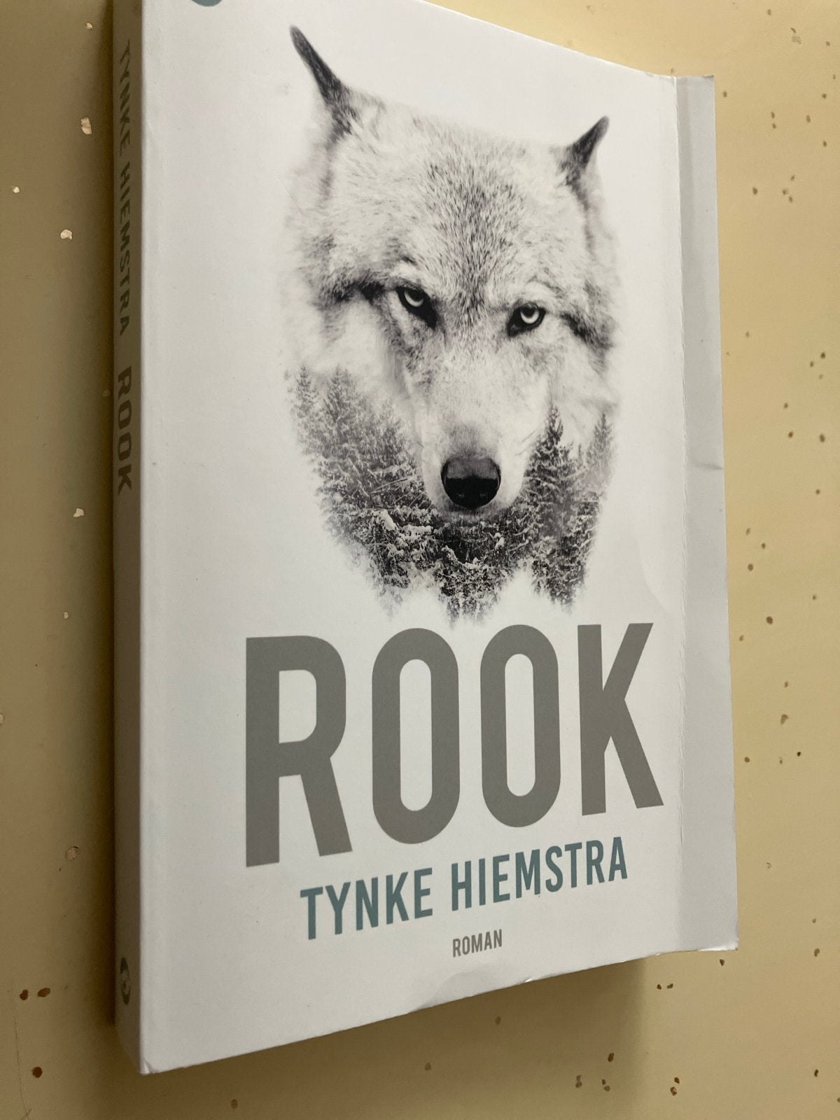 Rook - Tynke Hiemstra (Roman), Ophalen of Verzenden, Zo goed als nieuw, Nederland