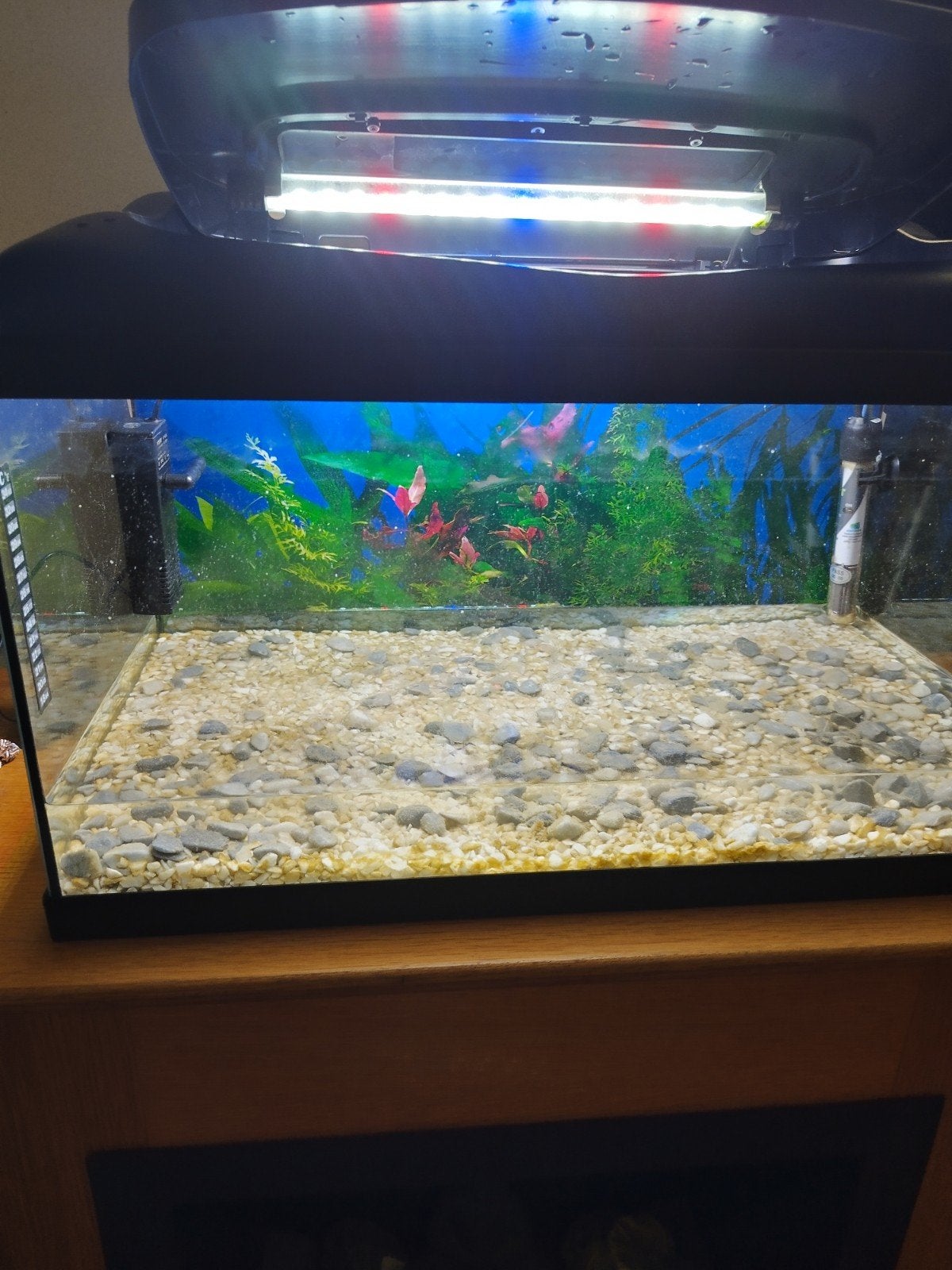 aquarium 60 cm  als nieuwe  zonder krassen of schade, Juwel, Ophalen, Inclusief deksel, Verlichting of Verwarming