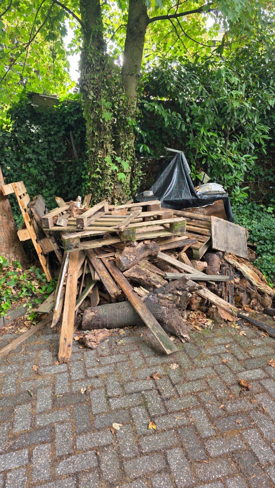 brandhout/pallets, Doe-het-zelf en Verbouw, Hout en Planken, Gebruikt, Minder dan 25 mm, Ophalen of Verzenden, Balk