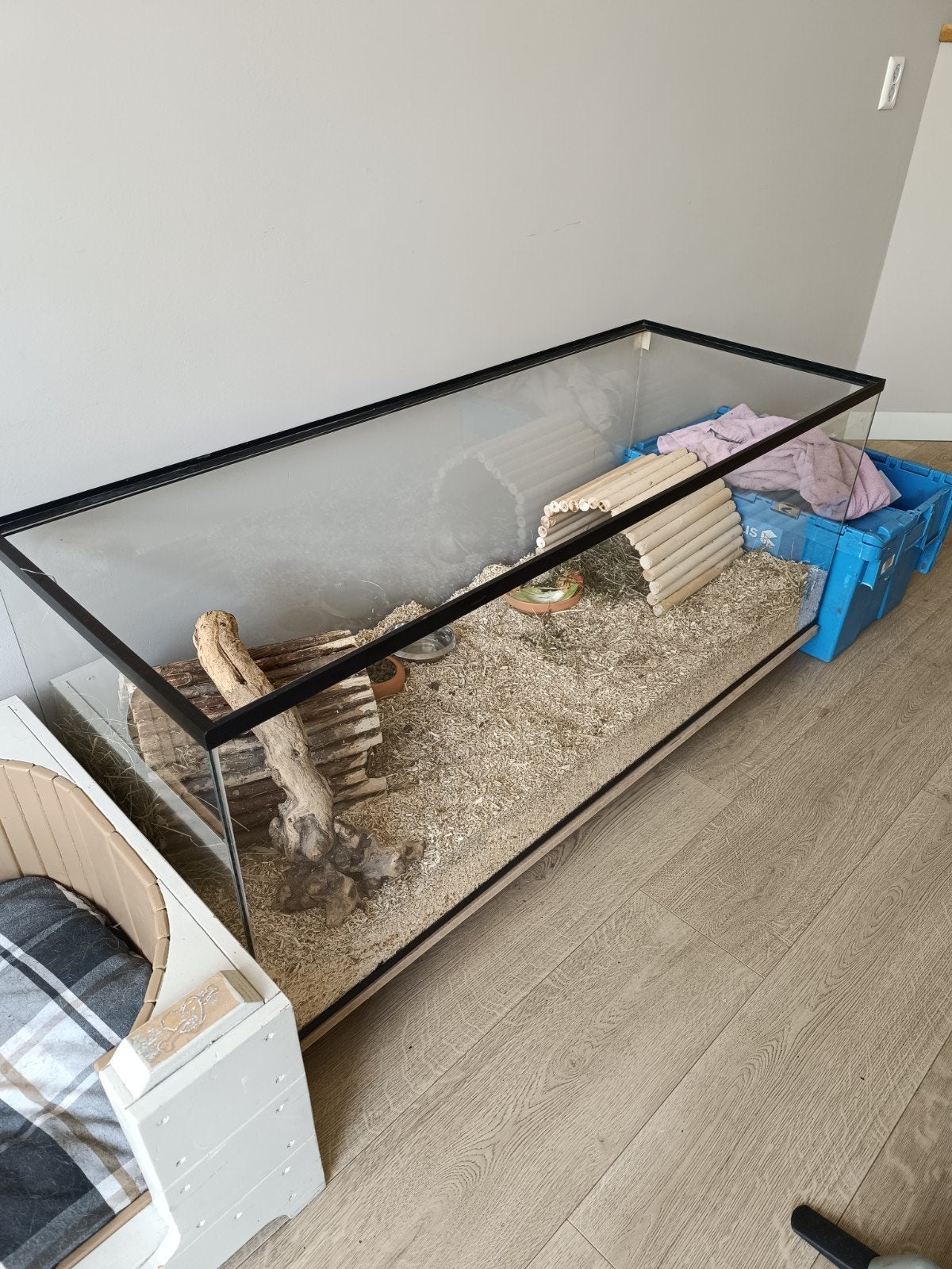 Glazen knaagdier verblijf, Dieren en Toebehoren, Knaagdieren en Konijnen | Hokken en Kooien, Overige typen, Cavia, Ophalen, Minder dan 60 cm