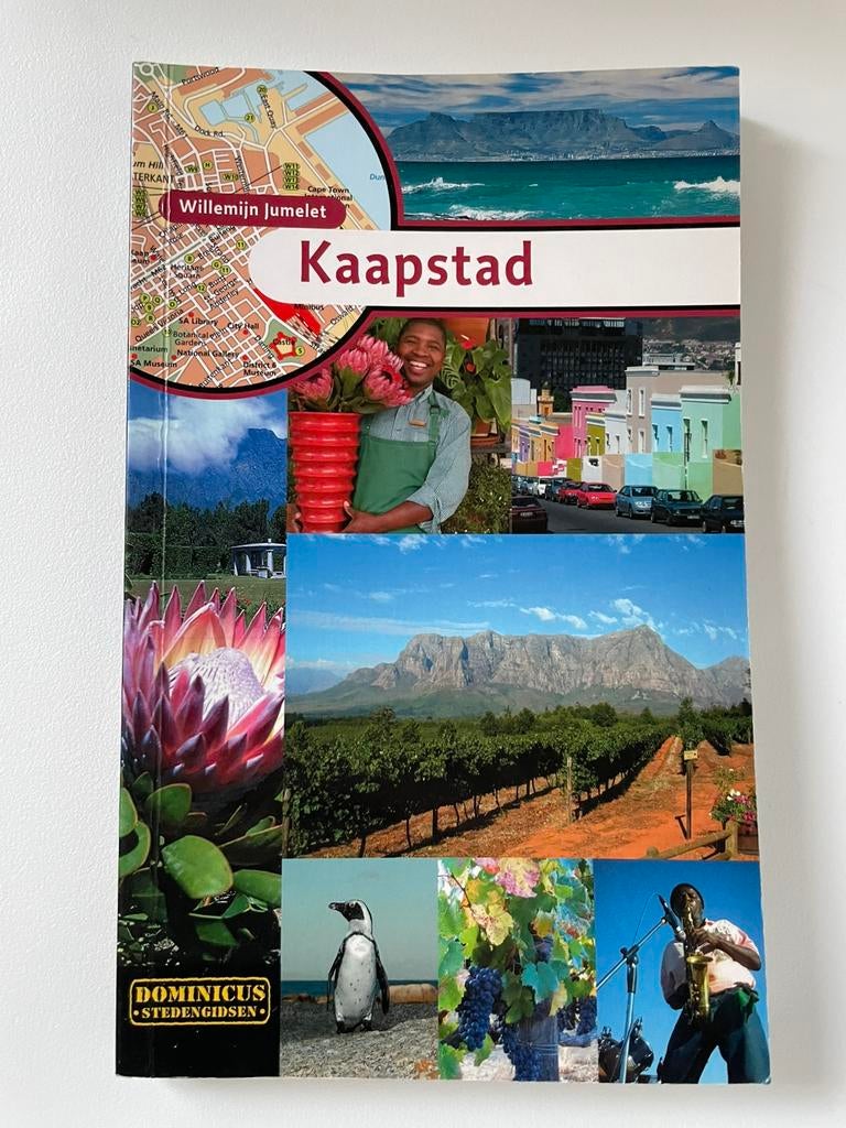 Dominicus reisgids Stedentrip Citytrip Kaapstad Zuid-Afrika, Ophalen of Verzenden, Gelezen, Afrika, Reisgids of -boek