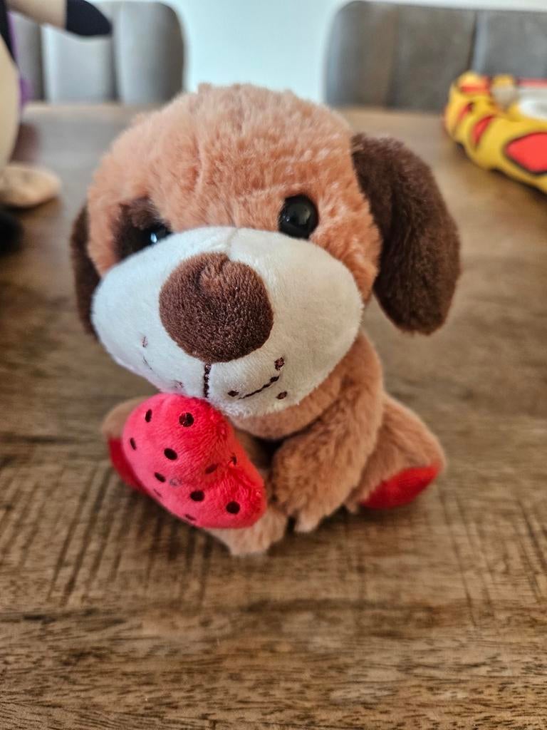 Hele knuffelbende zoekt nieuw huis - knuffelopvang sluit, Ophalen of Verzenden, Overige typen