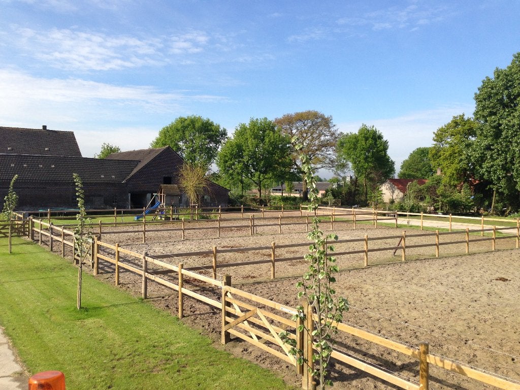 Omheining | paardenomheining | afrastering | weideafsluiting, Opfok, 4 paarden of pony's of meer