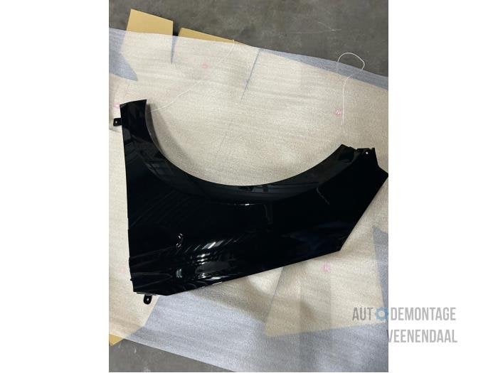 Scherm links-voor van een Renault Clio (TEGNE), -, Renault, -, Nieuw