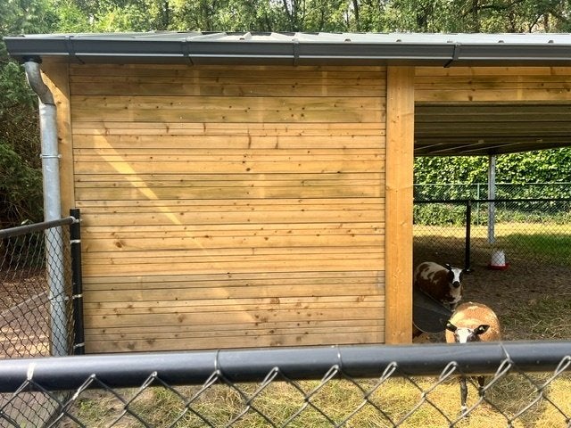 Douglas zweedse rabbat planken, Doe-het-zelf en Verbouw, Hout en Planken, Ophalen, Minder dan 25 mm, Nieuw, Plank