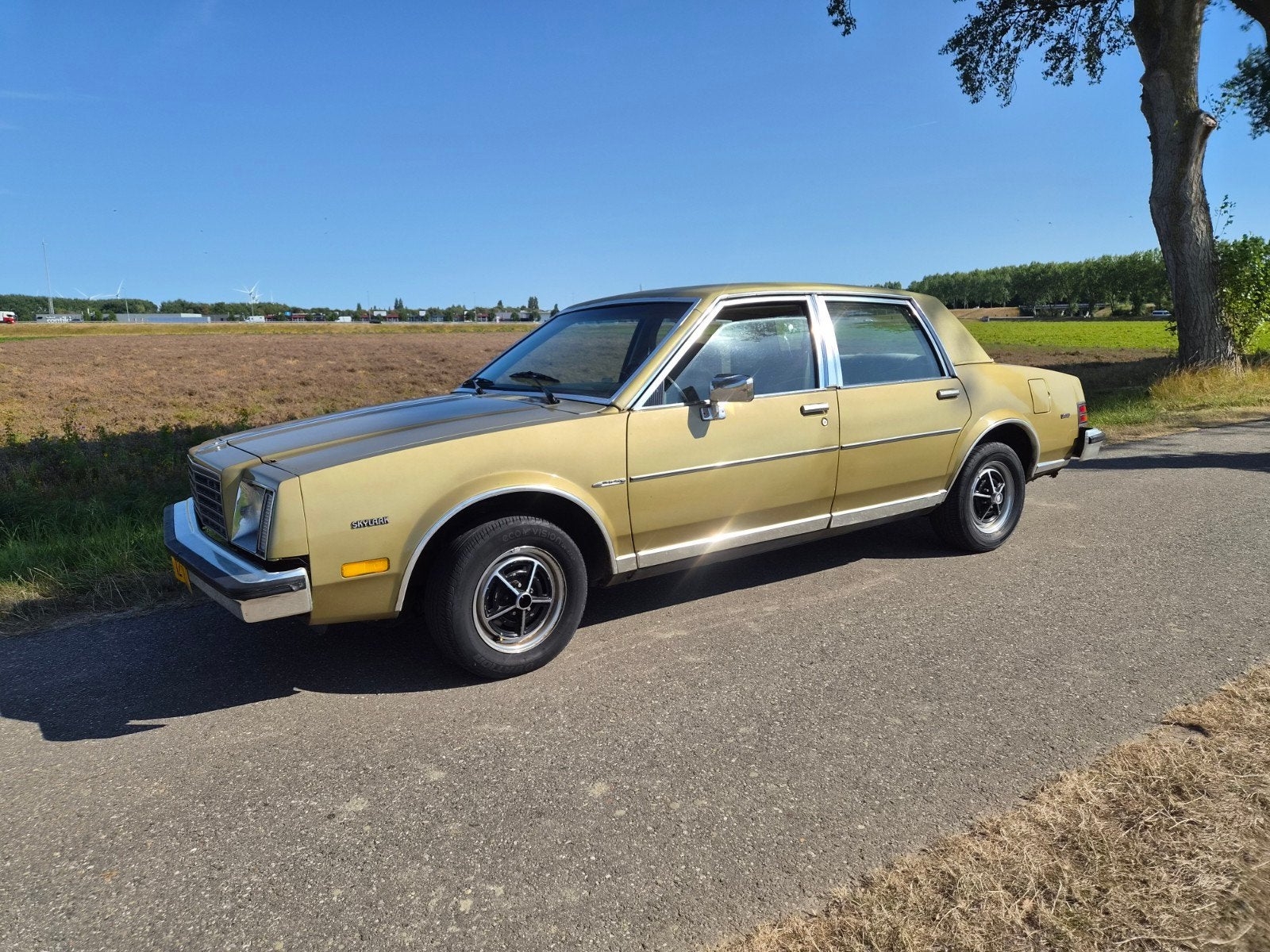 Buick Skylark 1982 Groen, Auto's, Buick, Skylark, 1200 kg, Bedrijf, 115 pk