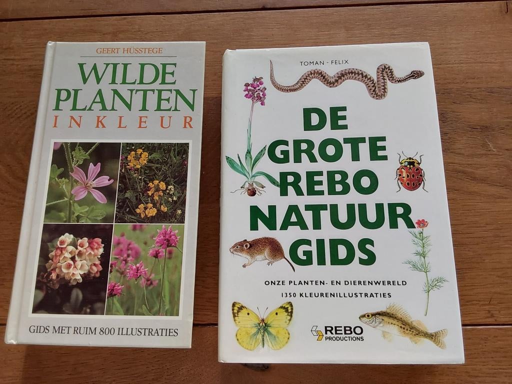 Wilde planten en de grote Rebo natuurgids, Ophalen of Verzenden, Zo goed als nieuw, Tuinieren en Tuinplanten