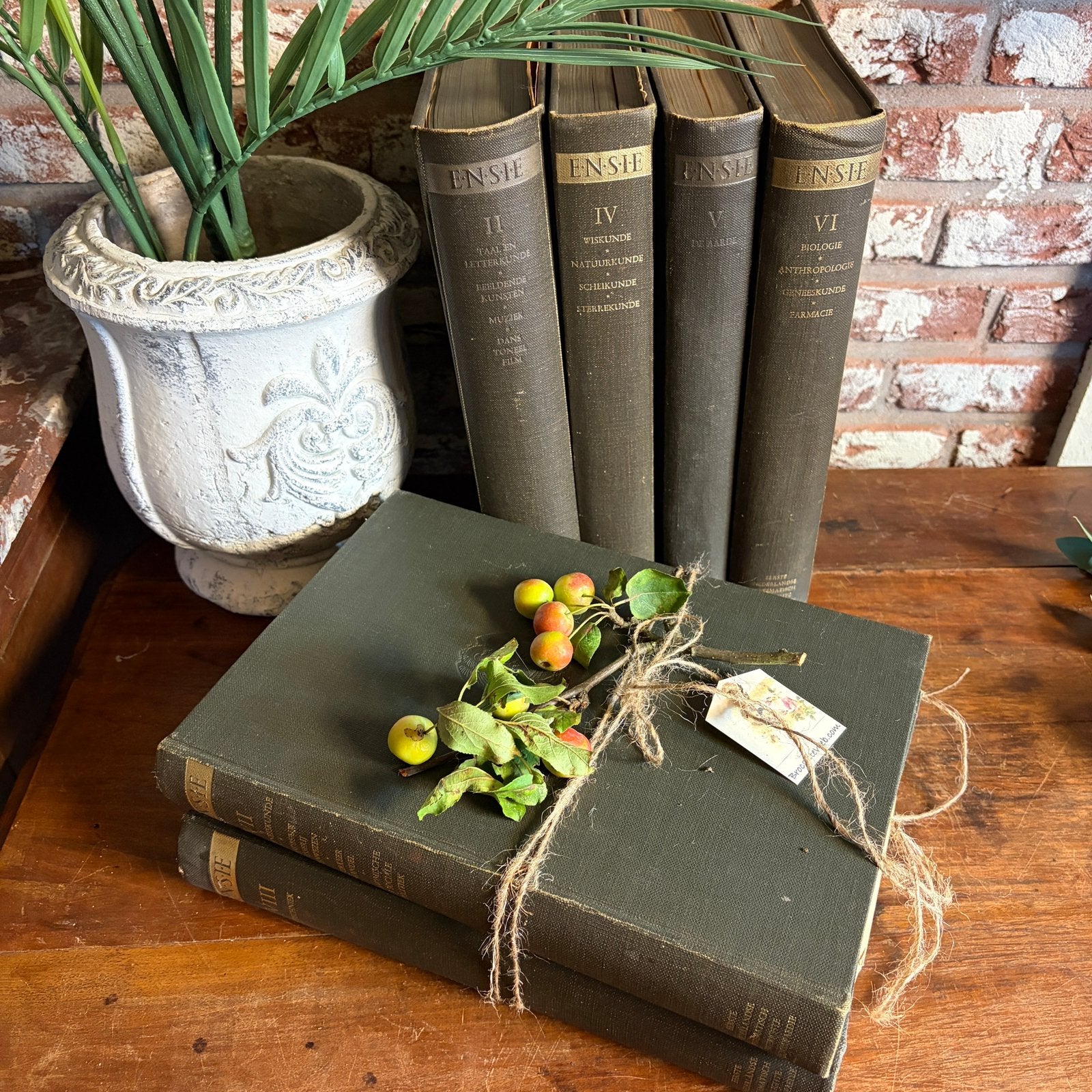 Oude boeken / brocante decoreren / Ensie, Ophalen of Verzenden
