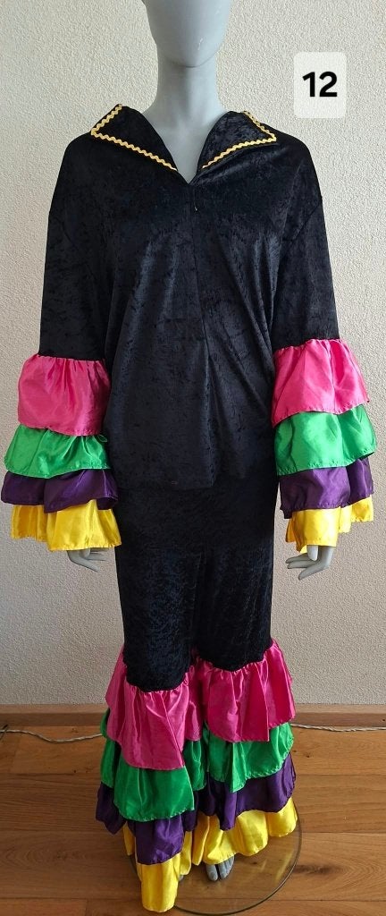 Verschillende mooie carnaval jurk blouse broek shirt kostuum, Ophalen of Verzenden, Gedragen, Maat 42/44 (L), Carnaval