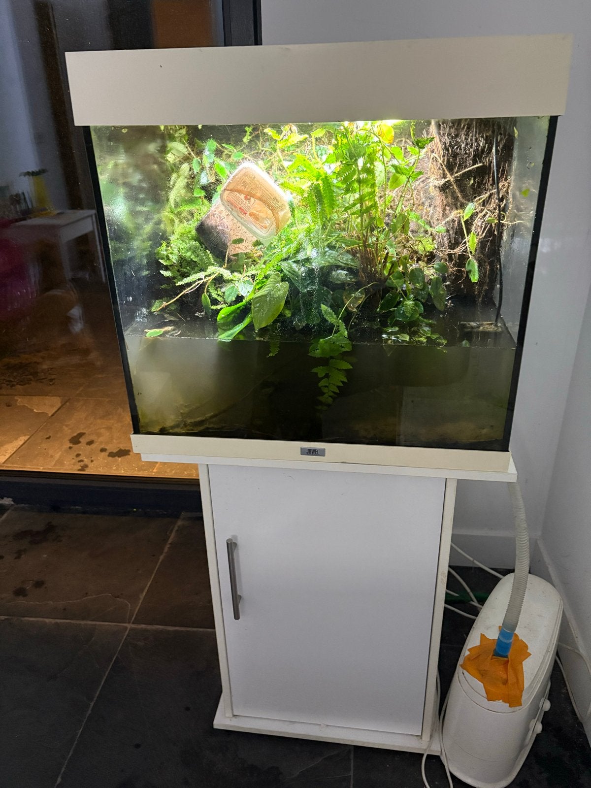 Paludarium, Dieren en Toebehoren, Ophalen