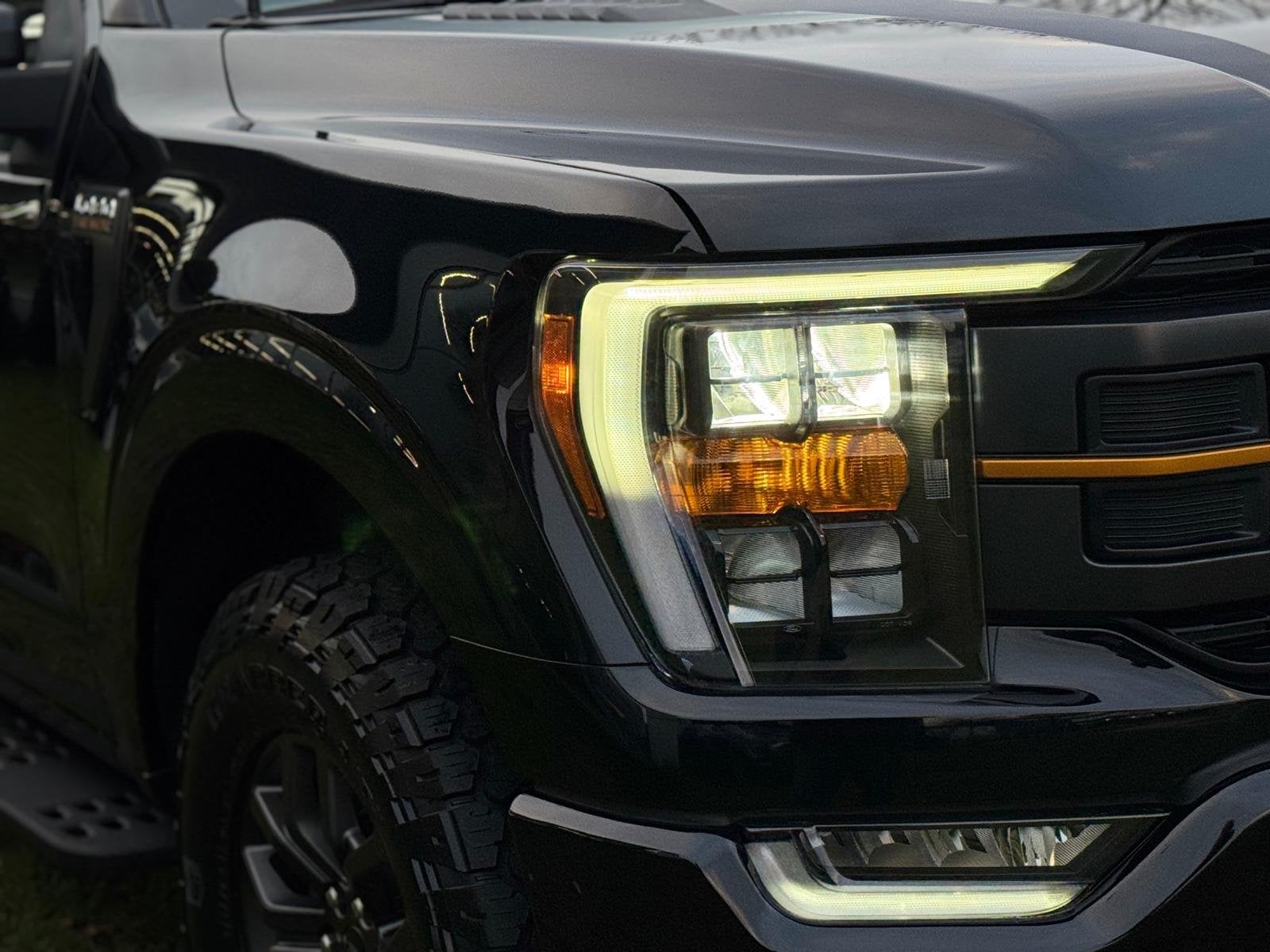Ford USA F-150 3.5 EcoBoost Tremor Black Edition BPM-VRIJ, Automaat, Start-stop-systeem, Gebruikt, Zwart