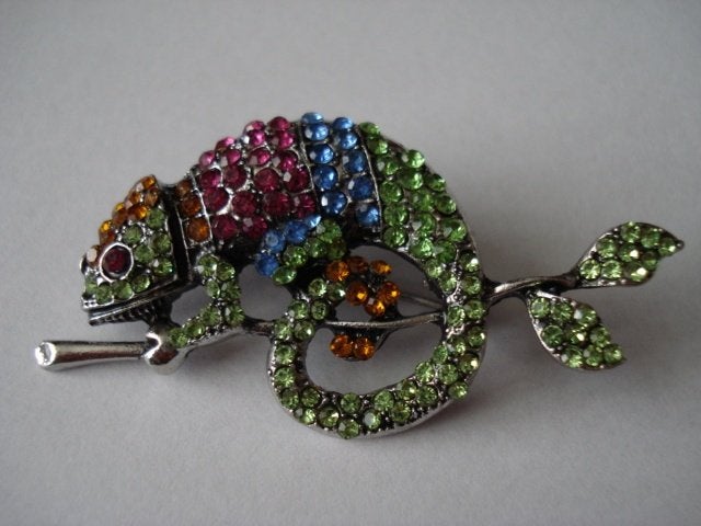 Kameleon broche, Sieraden, Tassen en Uiterlijk, Overige materialen, 4 tot 7 cm, Overige kleuren, Nieuw