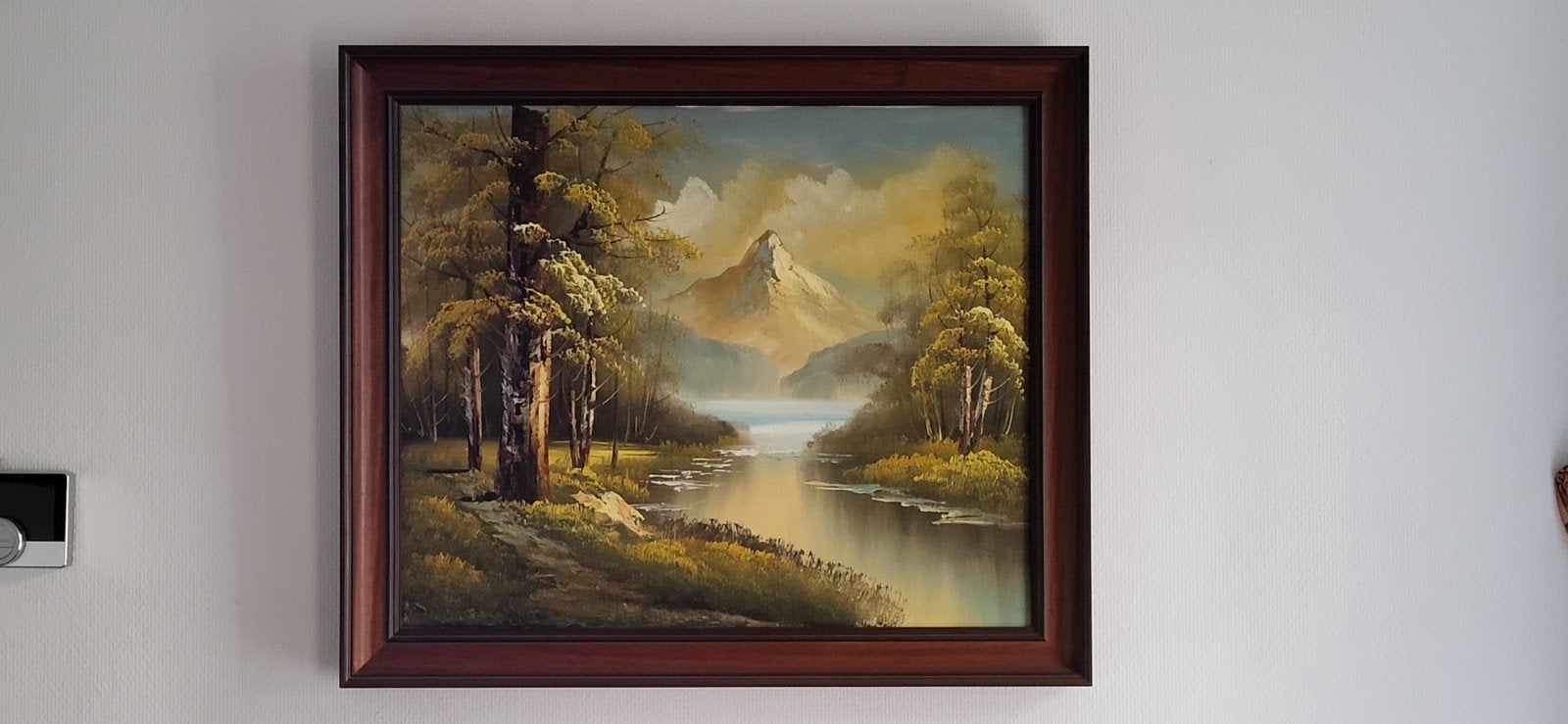 Mooie schilderij landschap, Antiek en Kunst, Kunst | Schilderijen | Klassiek, Ophalen