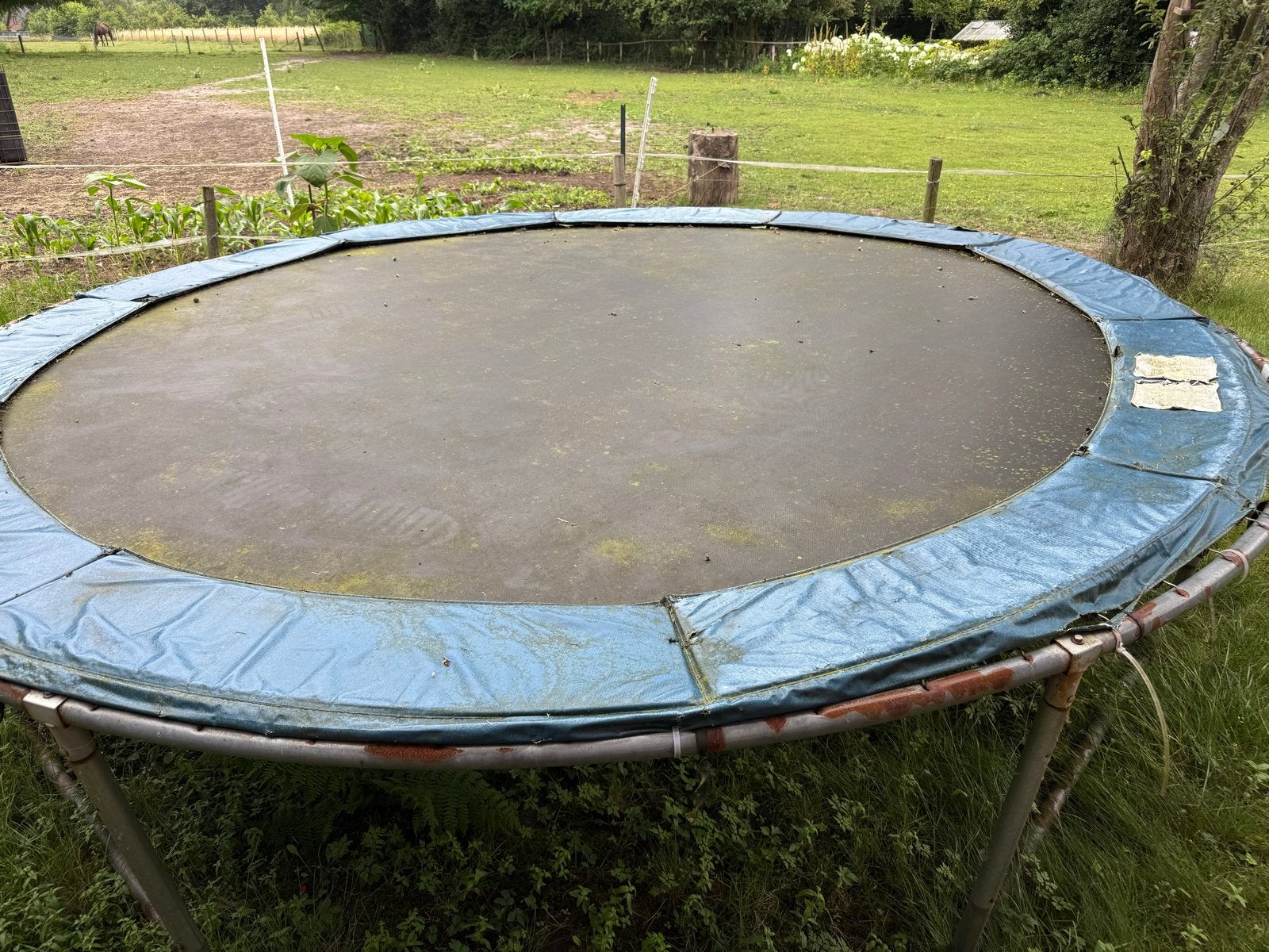 Grote ronde trampoline (3 meter), Ophalen, Gebruikt