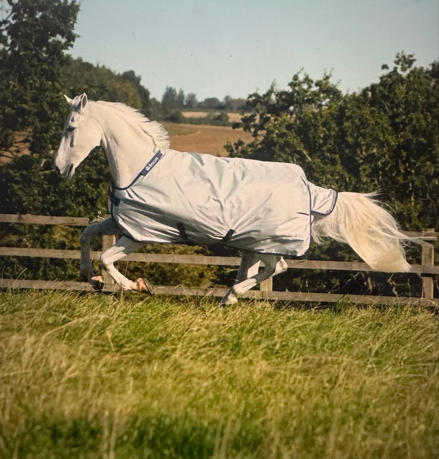 Bucas power turnout light 0 grams maat 215, Dieren en Toebehoren, Verzenden, Gebruikt, Overige soorten