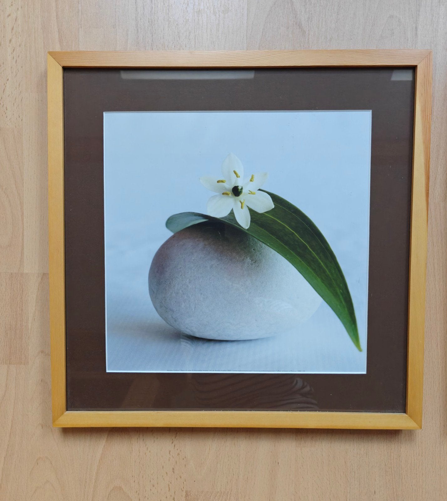 3 mooie houten foto/schilderijlijsten met glas, 42 cm, 42 cm, Ophalen of Verzenden, Zo goed als nieuw
