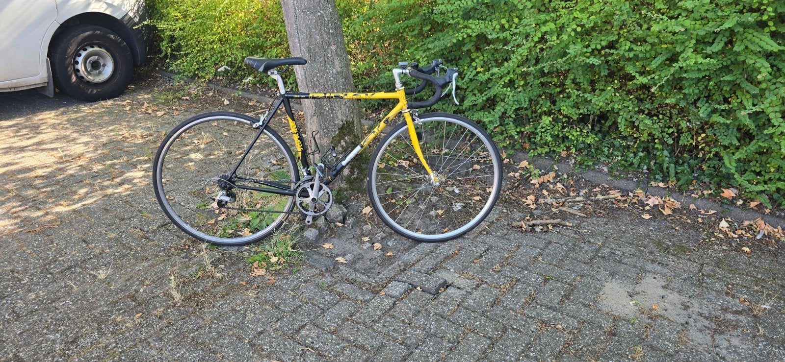 Prima Ridley Racefiets Sporttoerfiets 
Met 14 versnellingen, Ophalen, Gebruikt