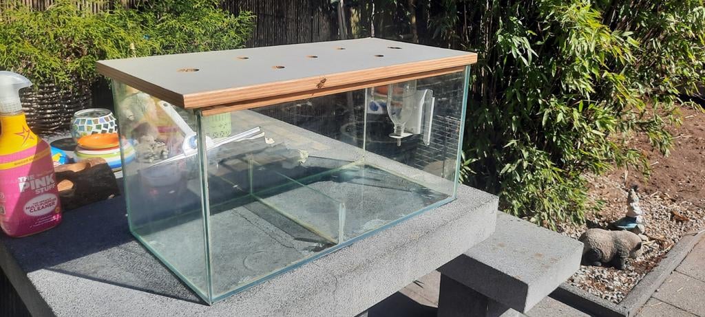 Terrarium, Dieren en Toebehoren, Overige typen, Muis, Minder dan 75 cm, Ophalen