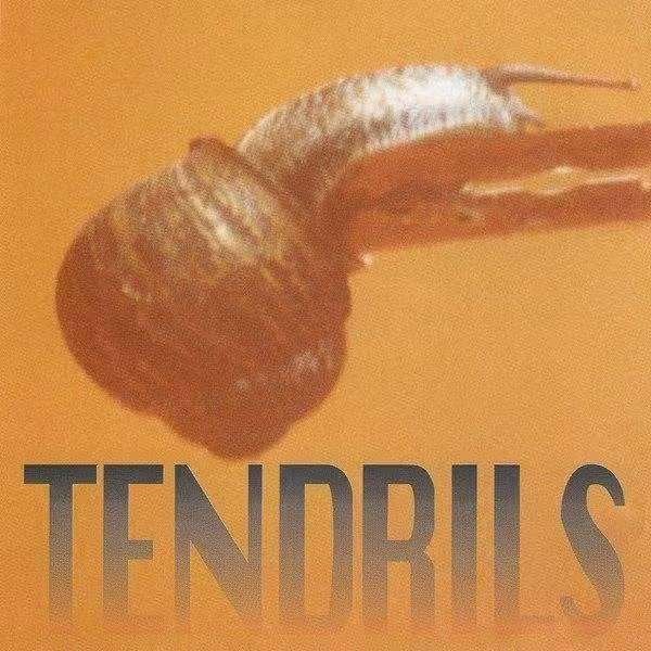 CD Joel Silbersher & Charlie Owen - Tendrils ZYX 20415-2, Ophalen of Verzenden, Zo goed als nieuw, Alternative Rock, Album