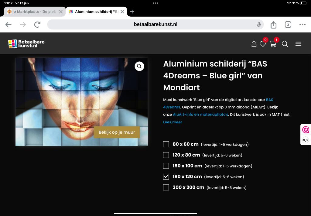 Kunst, Antiek en Kunst, Ophalen