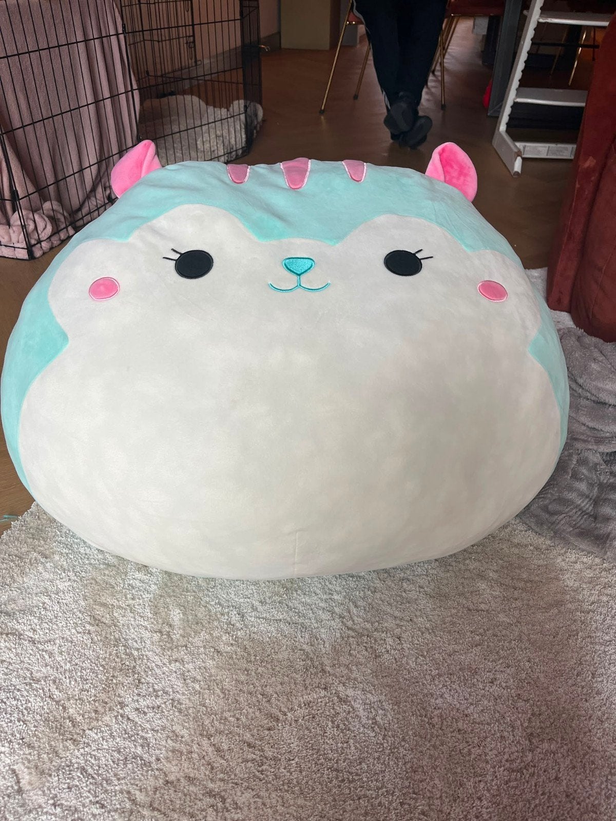 Mega Squishmallow XXL originele knuffel, Ophalen, Hamster, Blauw, Zo goed als nieuw