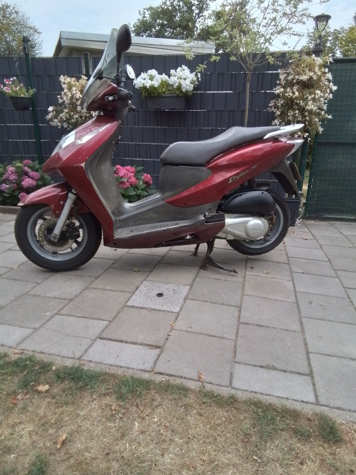 Honda Dylan 150 cc, Motoren, Motoren | Honda, Scooter, Motorrijbewijs A, Gebruikt, Particulier