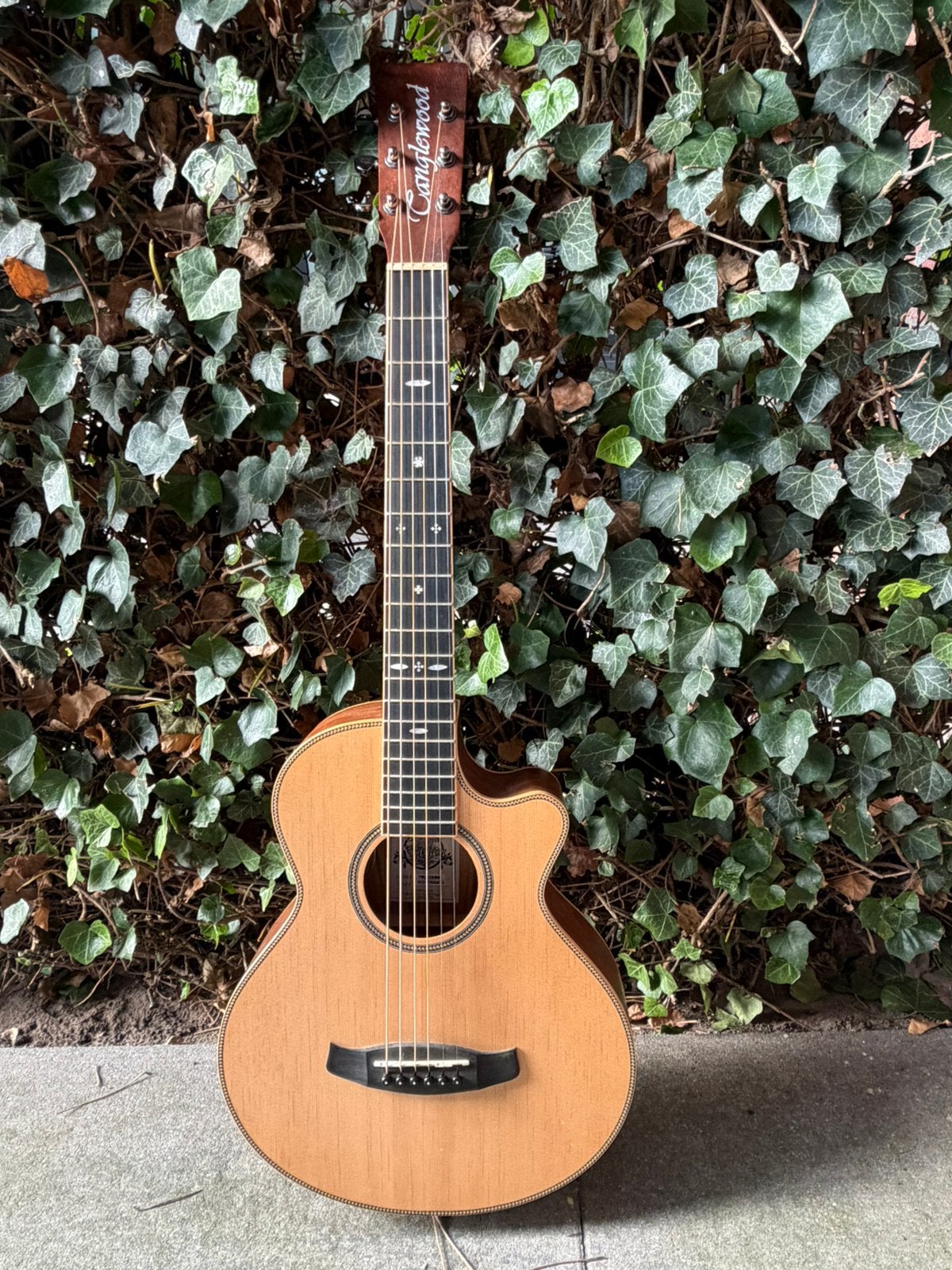 Tanglewood Reunion Pro elektro-akoestische gitaar