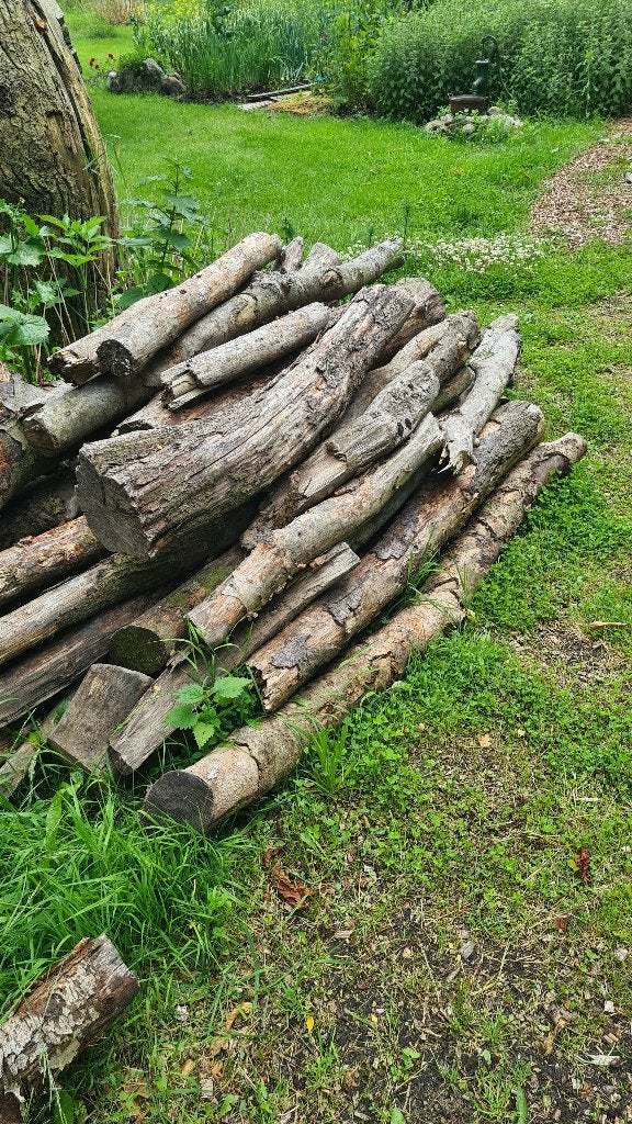 Winddroog haardhout, Minder dan 3 m³, Ophalen