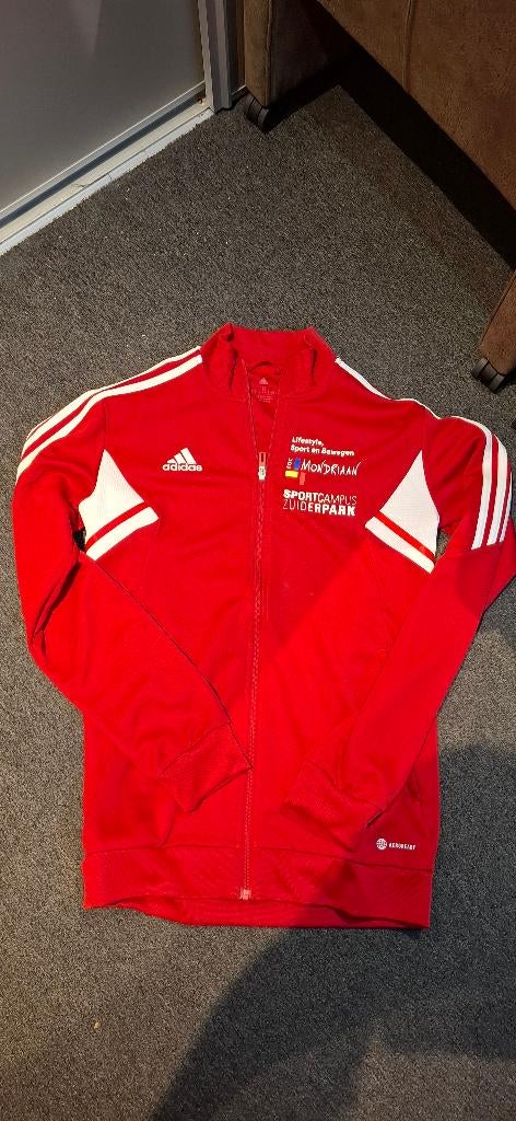 Sportjasje Adidas, Maat 48/50 (M), Ophalen of Verzenden, Zo goed als nieuw, Adidas
