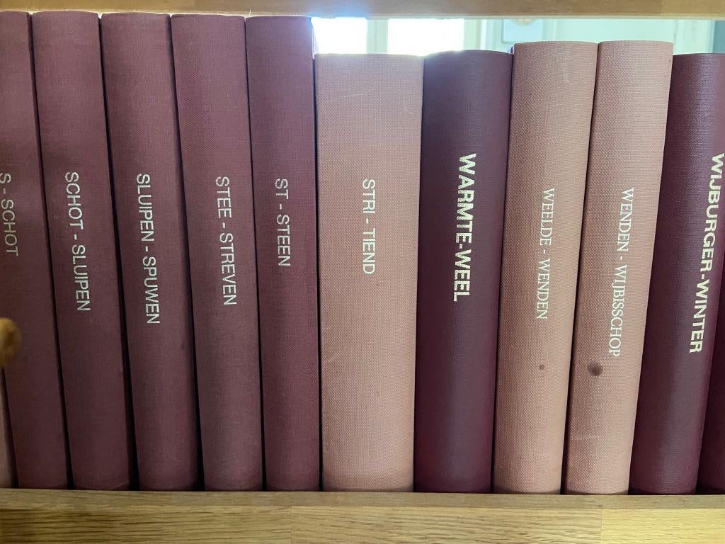 Gezocht: Woordenboek der Nederlandsche Taal (WNT), Boeken, Woordenboeken, Ophalen, Gelezen, Overige uitgevers, Nederlands