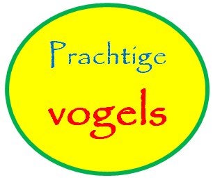 Mooie tropische vogels, o.a. Japans meeuwtje, Agapornoide,, Dieren en Toebehoren, Meerdere dieren, Dwergpapegaai of Agapornis